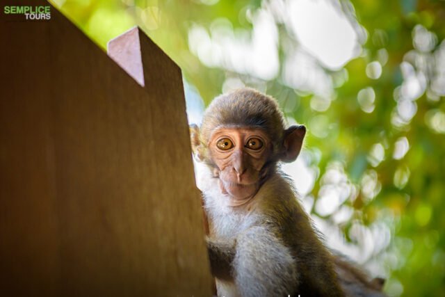 krabi-Highlights-Tour5