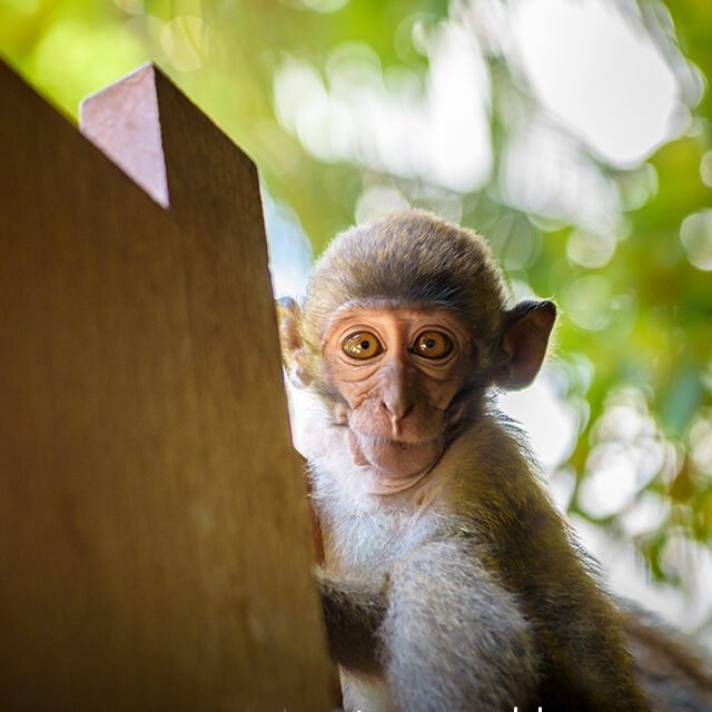 krabi-Highlights-Tour5