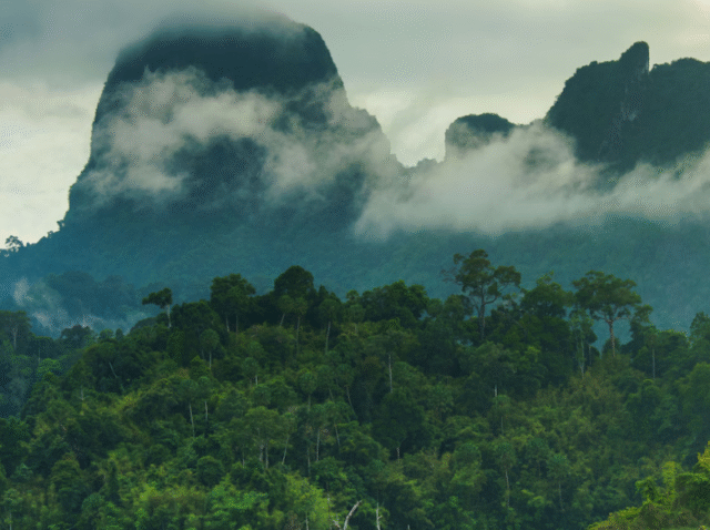 KHAO - SOK - TOUR - 2 - Raft - house - (6)