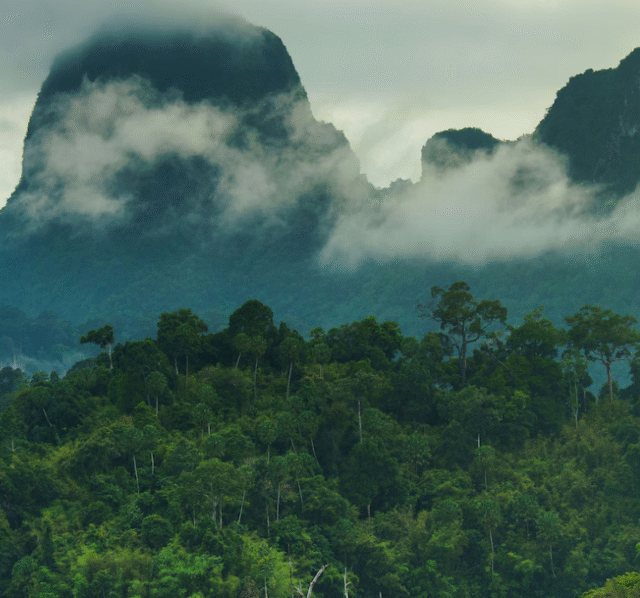 KHAO - SOK - TOUR - 2 - Raft - house - (6)