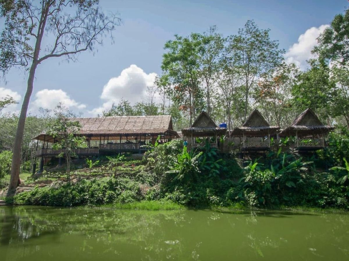 Ethical Elephant Sanctuary Phuket – Canopy Walkway Tour - Image 2