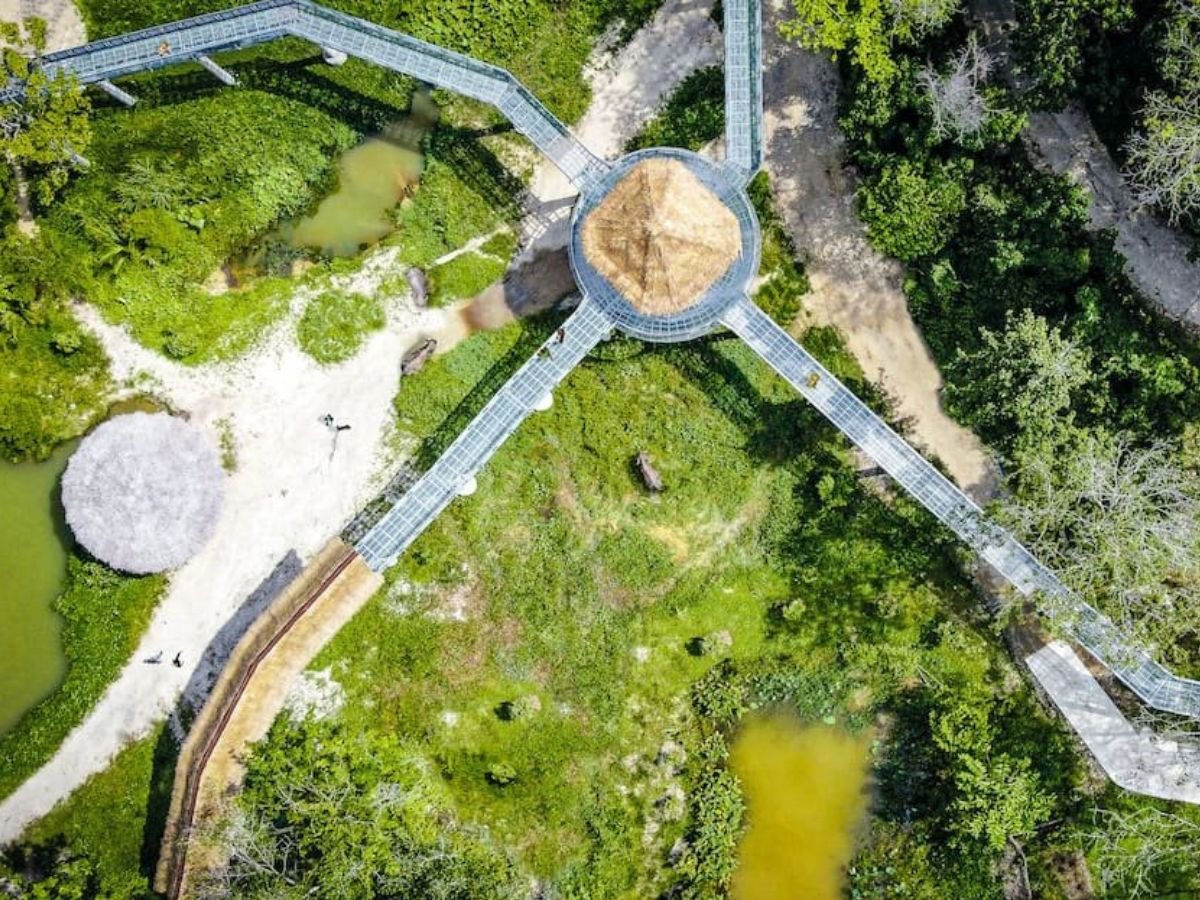 Ethical Elephant Sanctuary Phuket – Canopy Walkway Tour