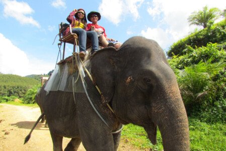 Khao Sok Lake Tour 2 Days 1 Night Enjoy Elephant Trekking